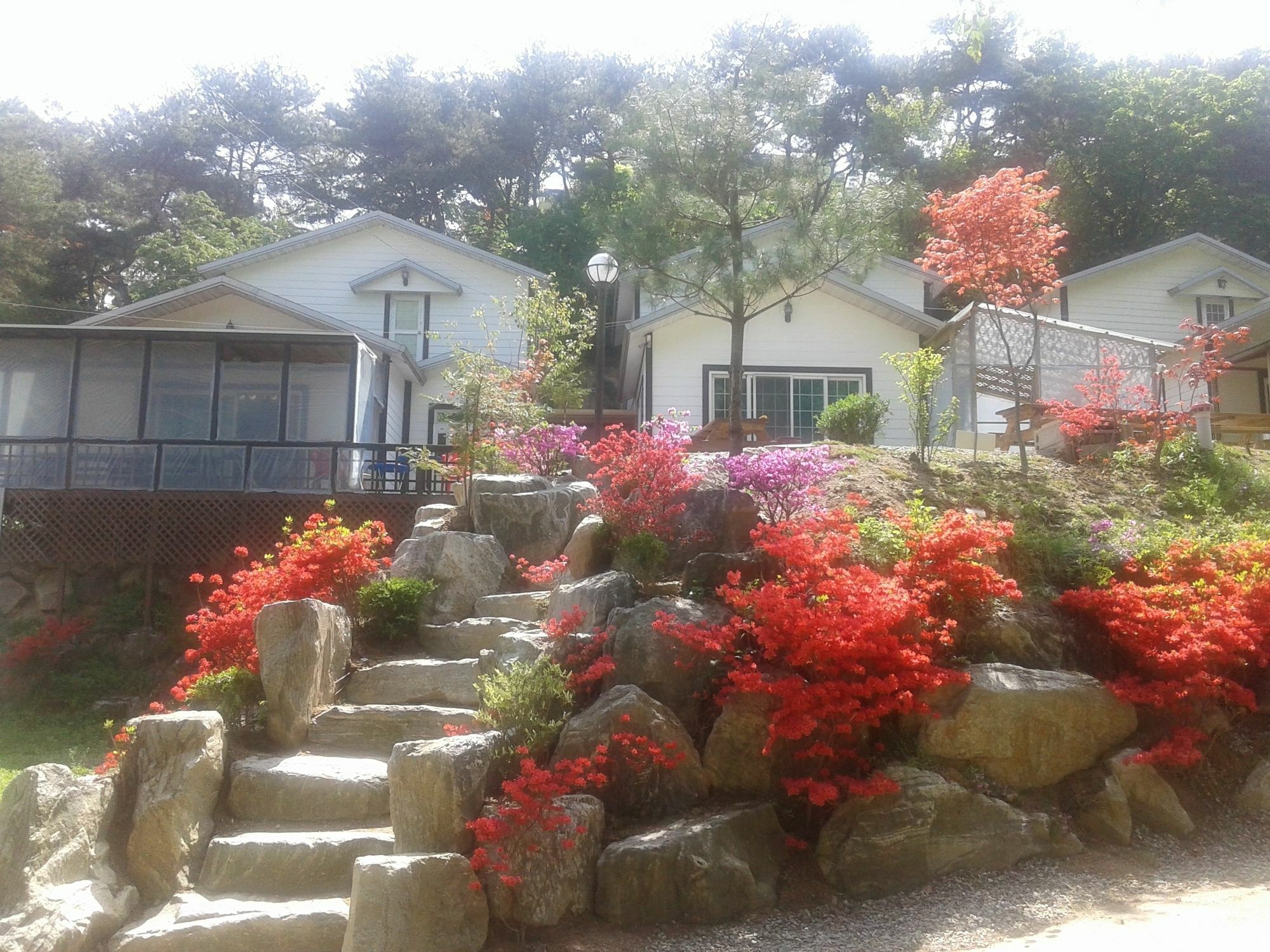 Hwangto Green Village Pension Jongin Exteriér fotografie